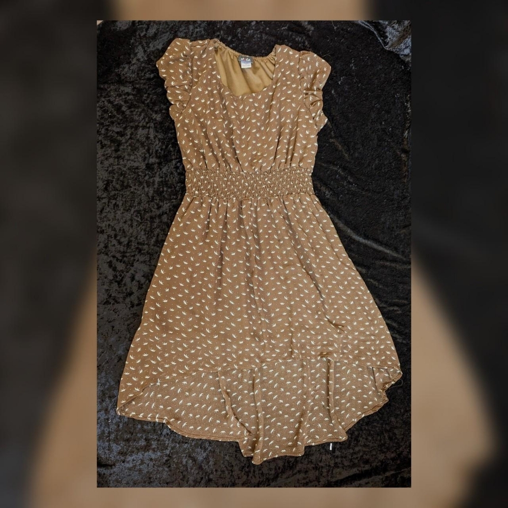 Dots Brown & White Bird Polka Dot Short Sleeve Hi-low Dress - Picture 3 of 5